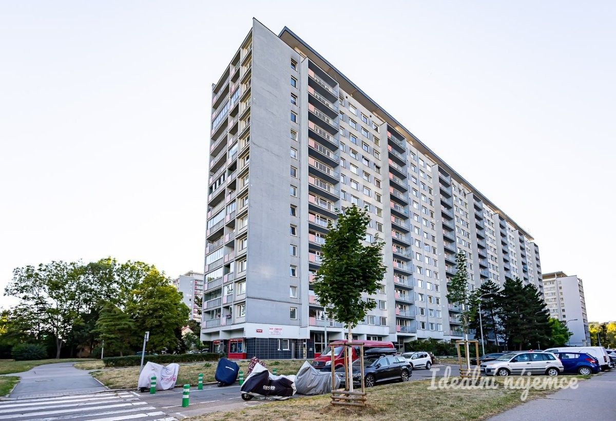 Pronájem bytu 3+1 67 m² - foto 16