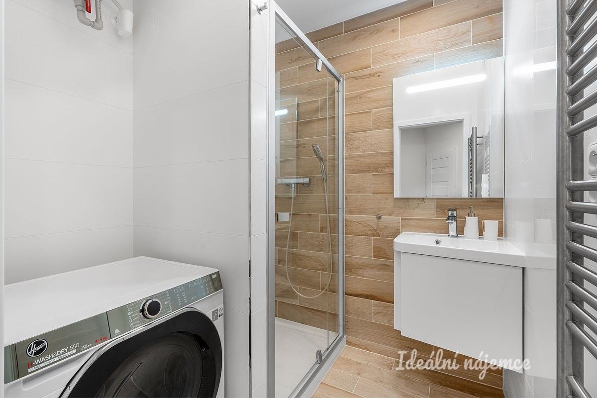 Pronájem bytu 1+kk 39 m² - foto 11