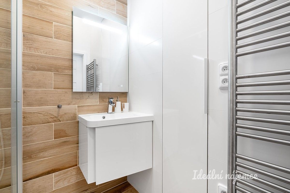 Pronájem bytu 1+kk 39 m² - foto 12