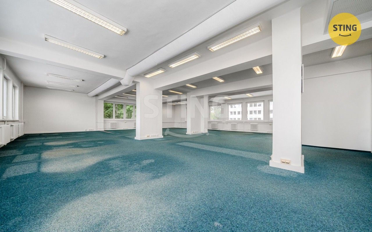 Pronájem komerčního prostoru 165 m² - foto 4