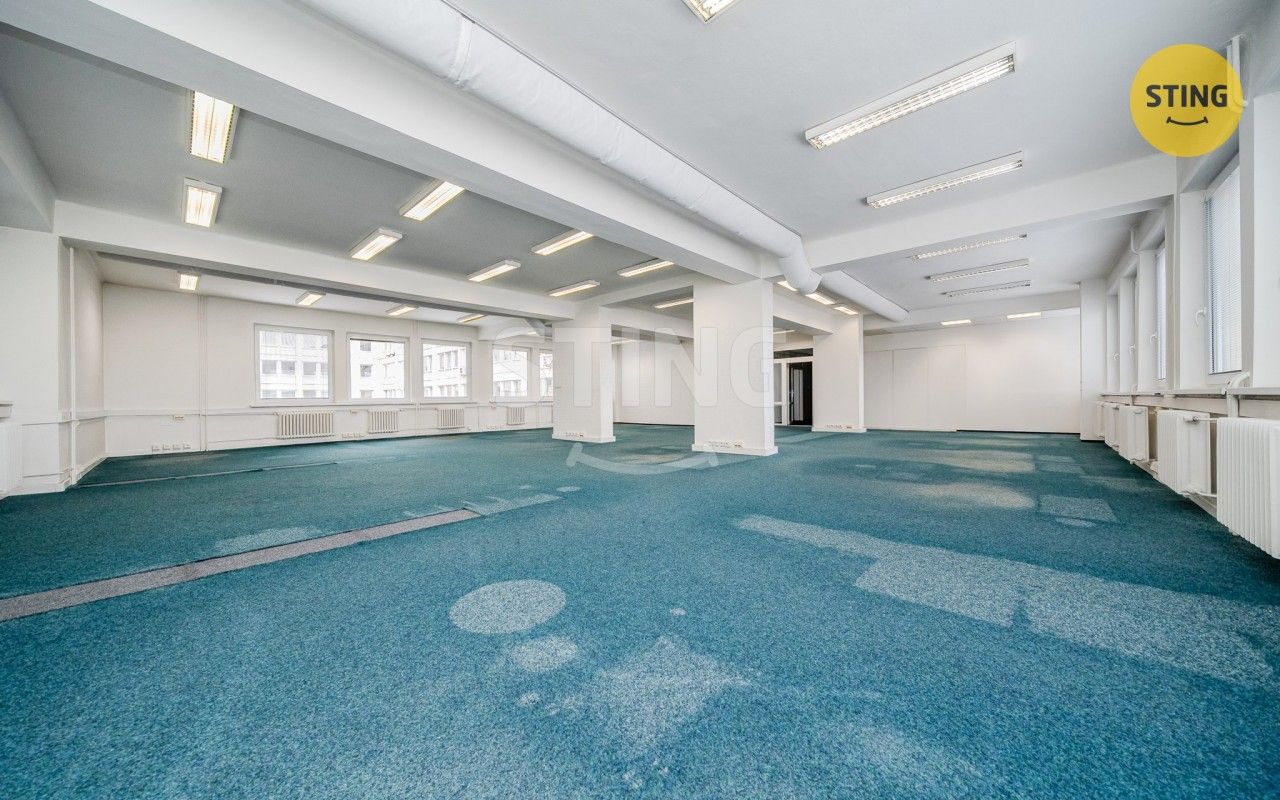 Pronájem komerčního prostoru 165 m² - foto 6