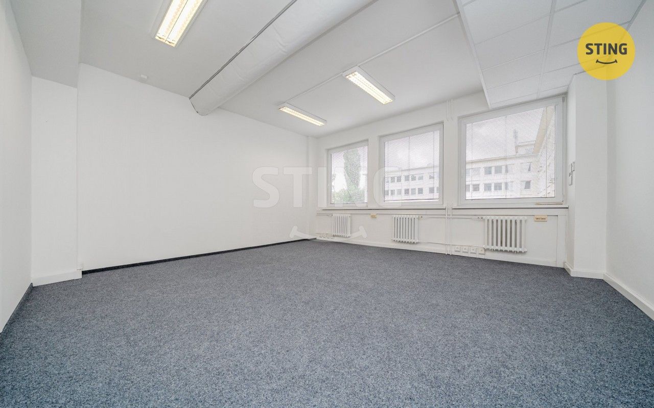 Pronájem komerčního prostoru 165 m² - foto 8