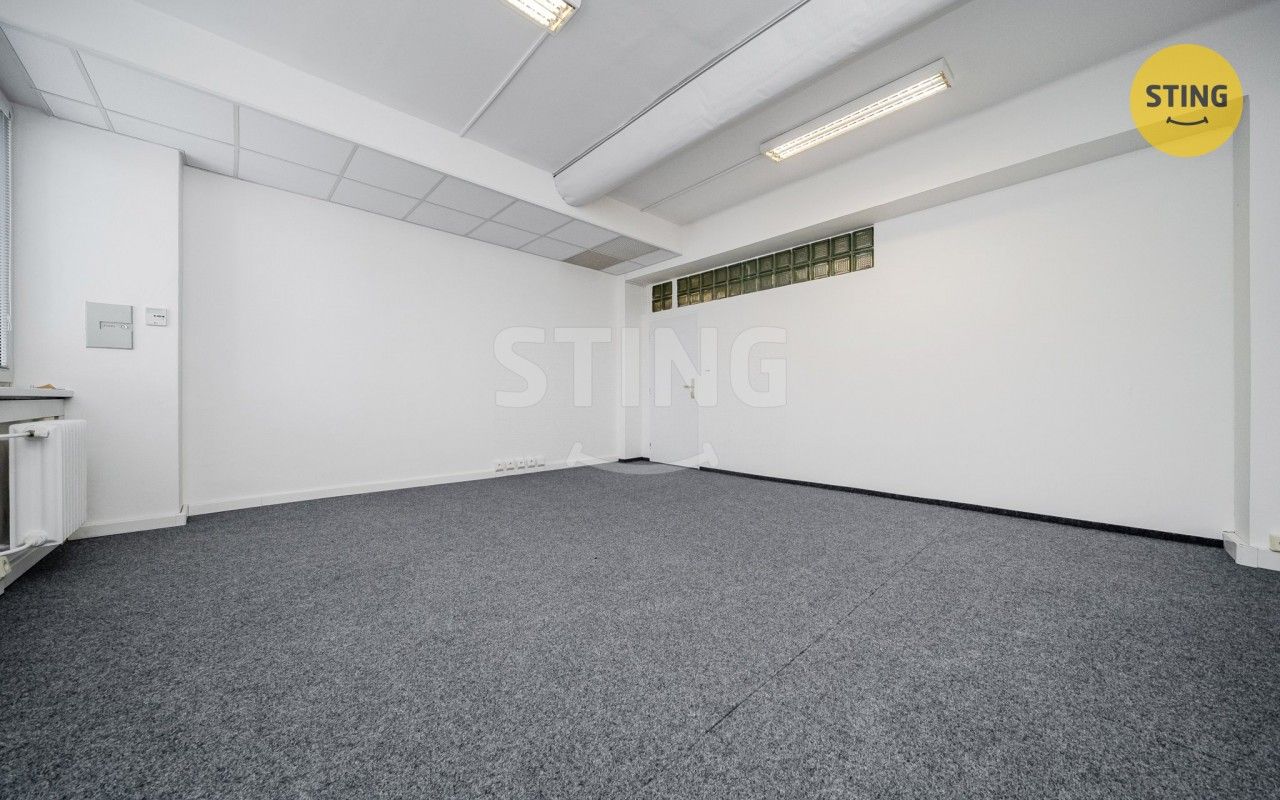 Pronájem komerčního prostoru 165 m² - foto 9