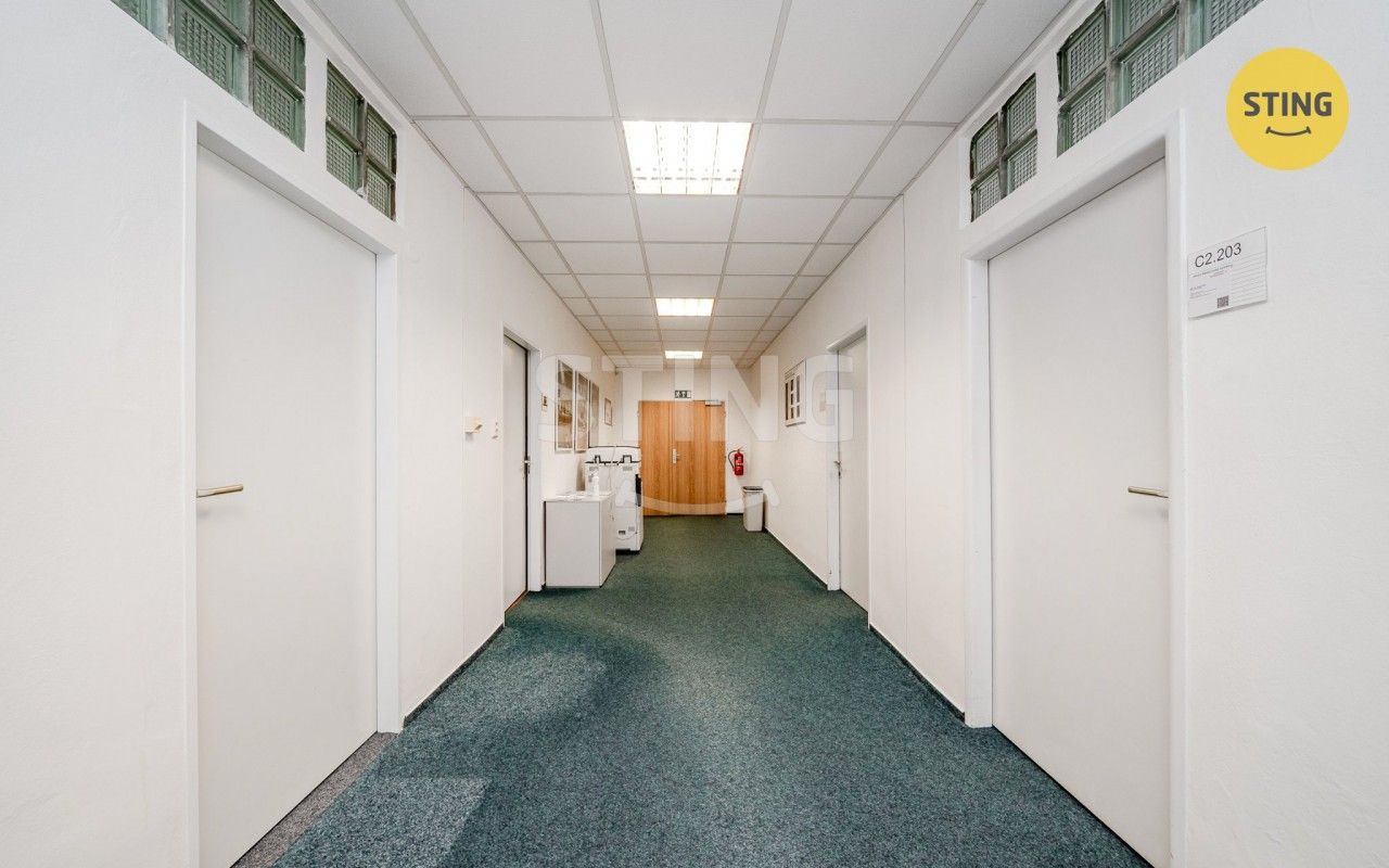 Pronájem komerčního prostoru 165 m² - foto 10