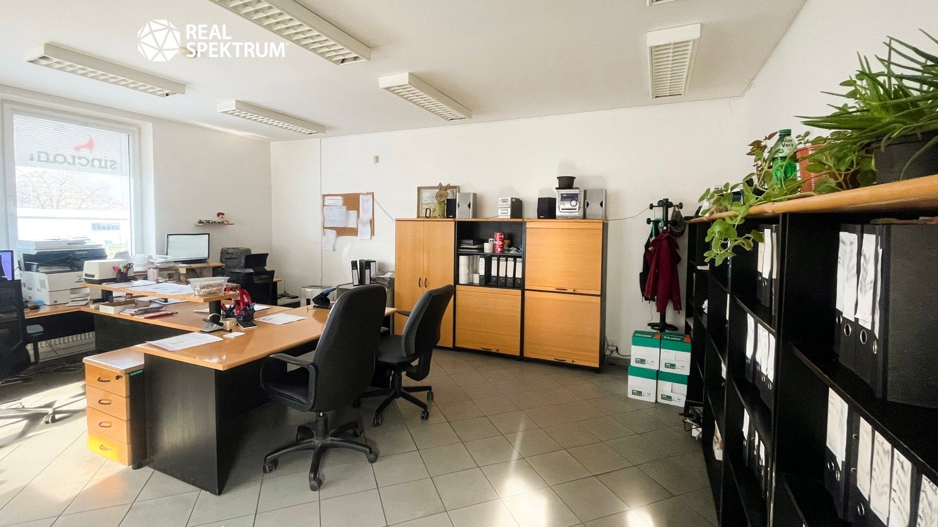 Pronájem komerčního prostoru 2908 m² - foto 3