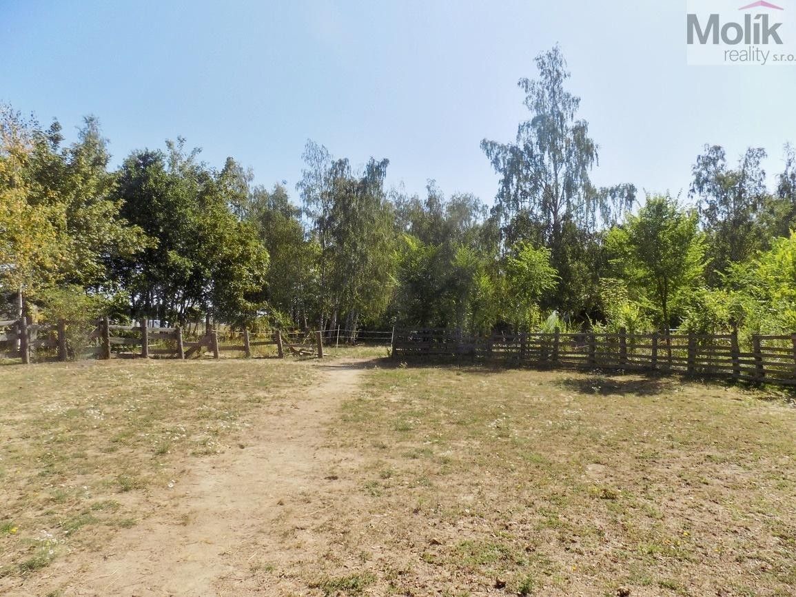Prodej pozemku 3706 m² - foto 4