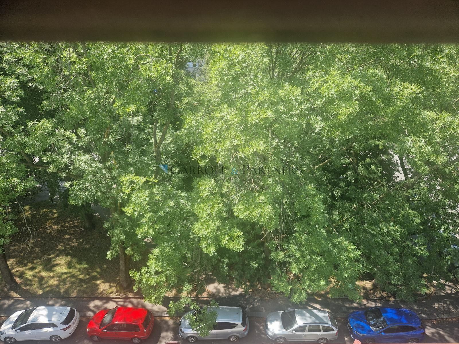Pronájem bytu 2+kk 69 m² - foto 3