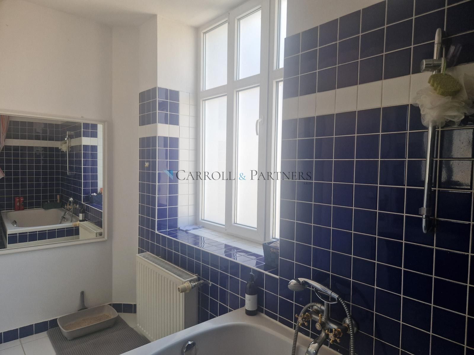 Pronájem bytu 2+kk 69 m² - foto 10