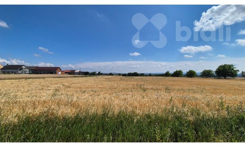 Prodej pozemku 773 m² - foto 1
