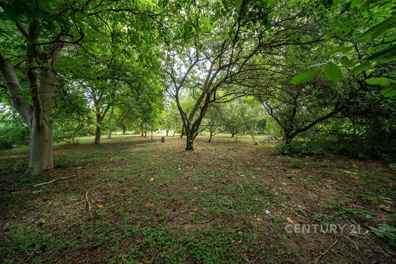 Prodej domu 145 m² - foto 3