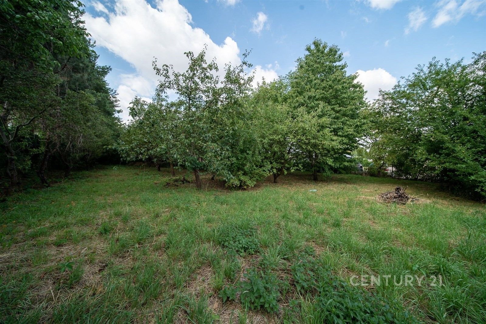 Prodej domu 145 m² - foto 4