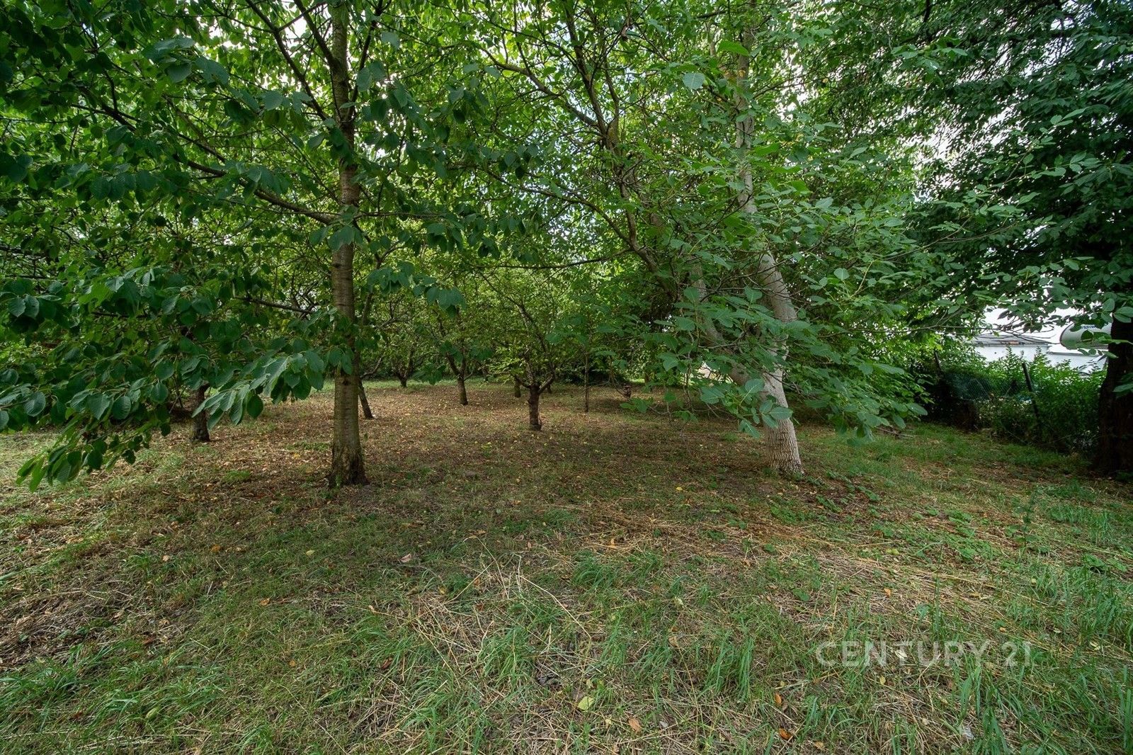 Prodej domu 145 m² - foto 5