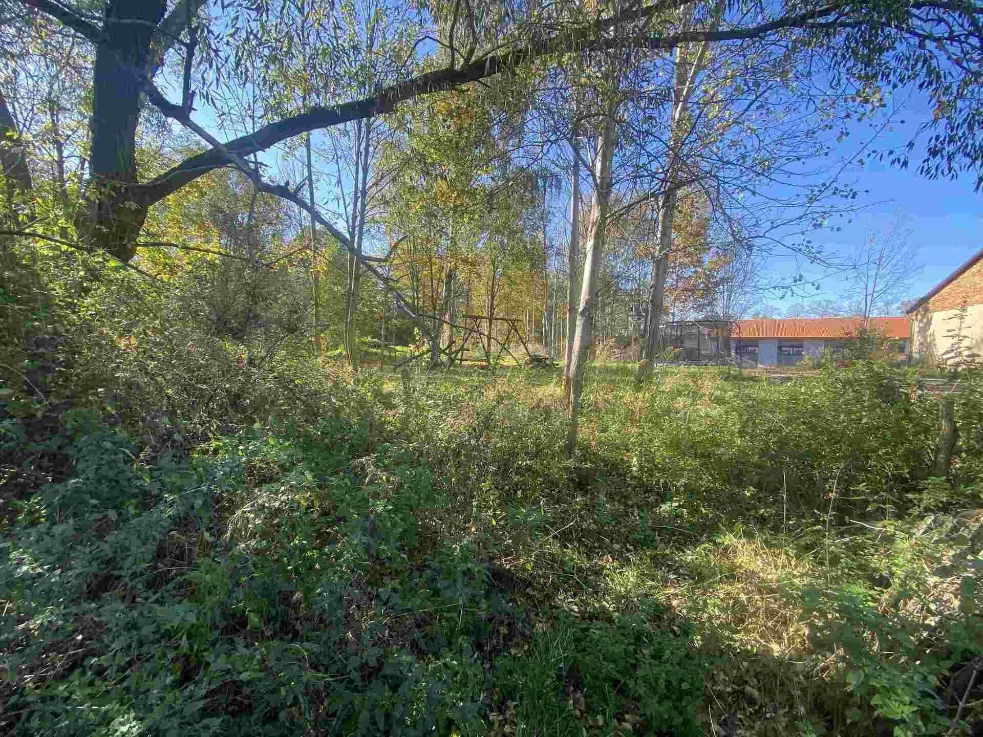 Prodej nemovitosti 376 m² - foto 4