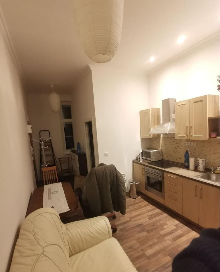 Pronájem bytu 1+1 41 m² - foto 1
