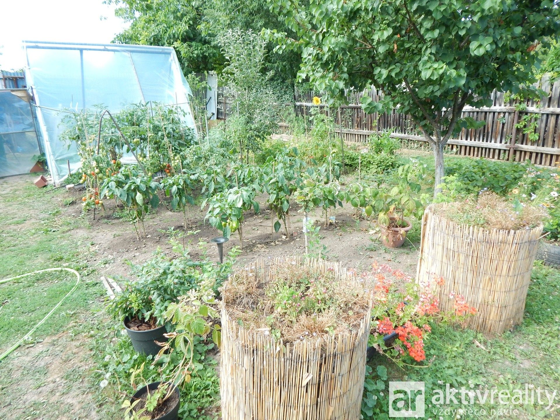 Prodej domu 200 m² - foto 4