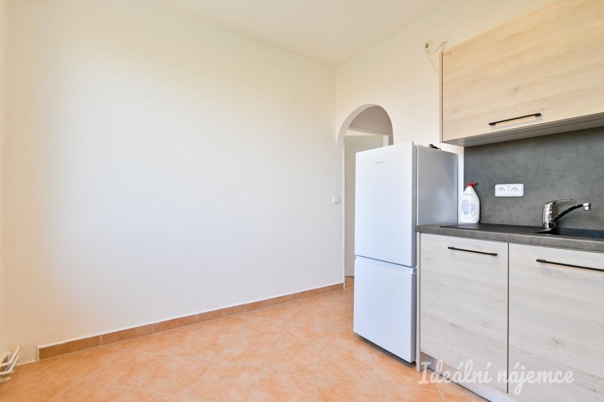 Pronájem bytu 2+1 48 m² - foto 3
