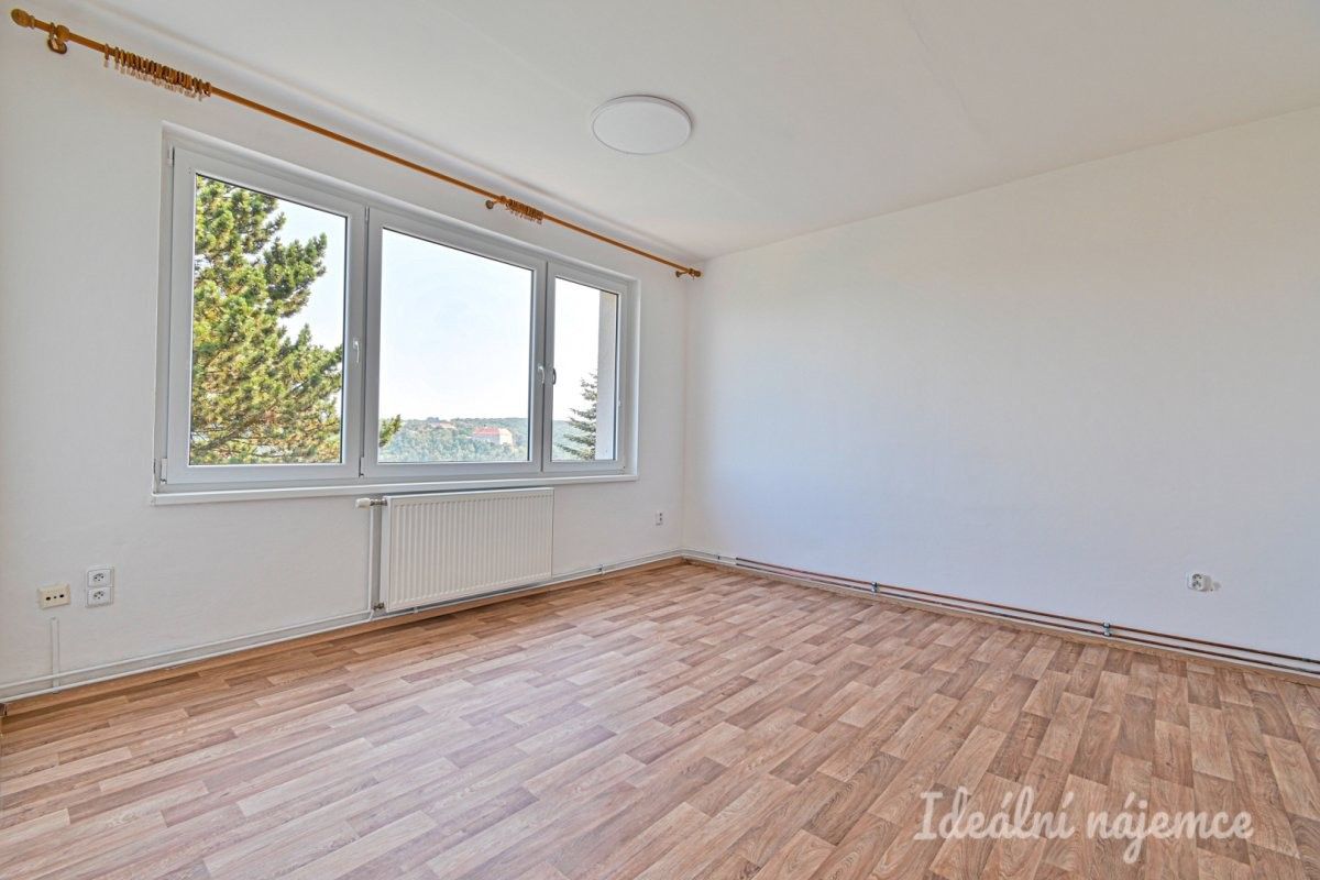 Pronájem bytu 2+1 48 m² - foto 4
