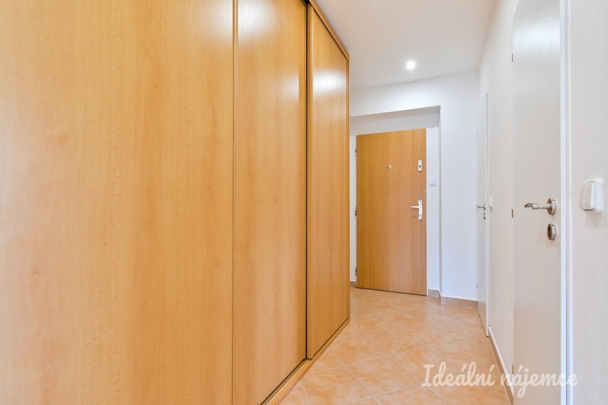 Pronájem bytu 2+1 48 m² - foto 11