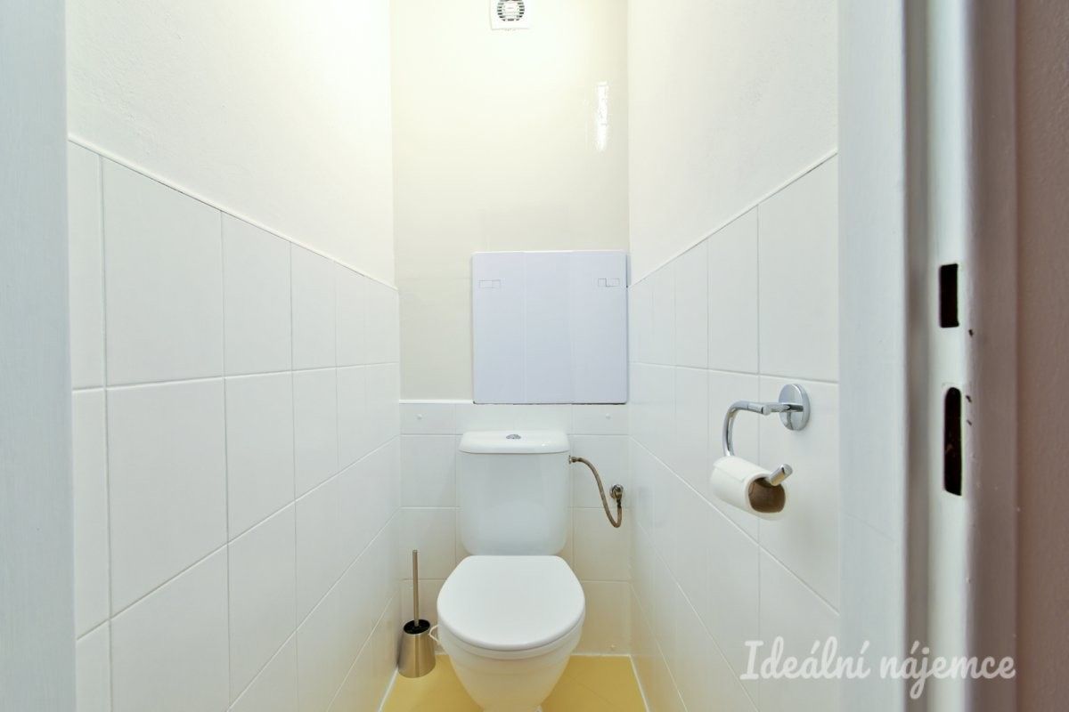 Pronájem bytu 2+1 48 m² - foto 12