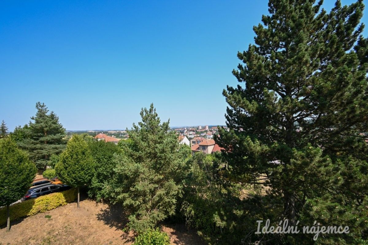 Pronájem bytu 2+1 48 m² - foto 13