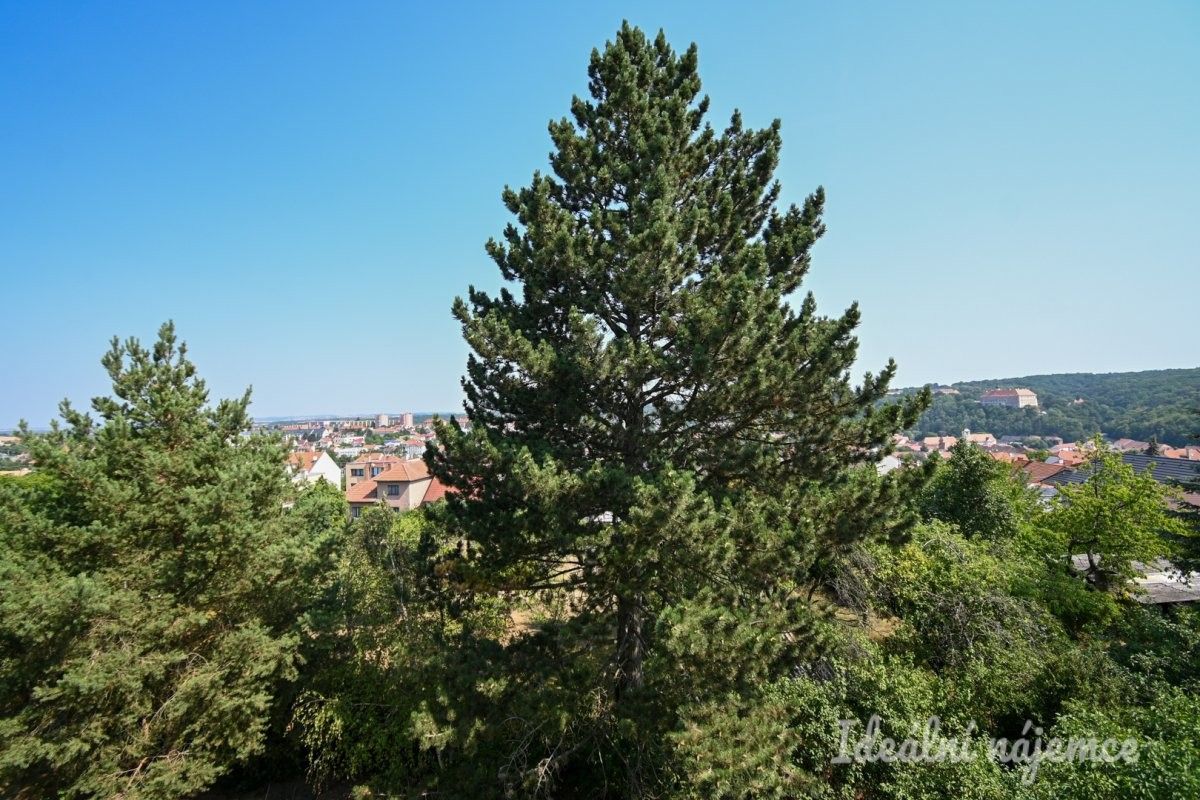 Pronájem bytu 2+1 48 m² - foto 14