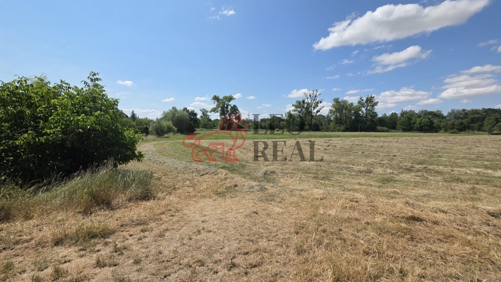 Prodej pozemku 1237 m² - foto 2