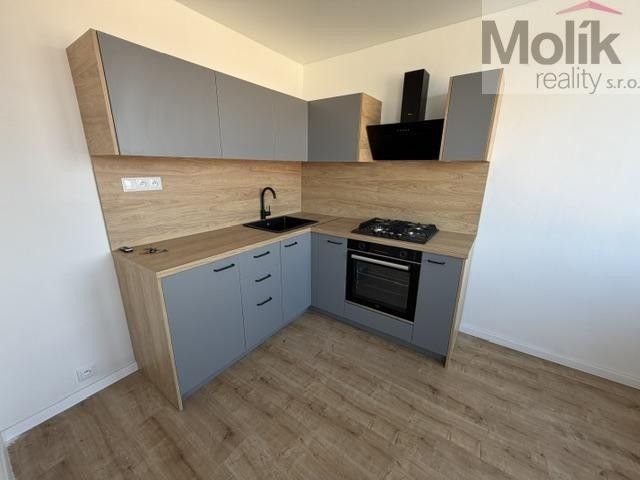 Pronájem bytu 3+1 62 m² - foto 3