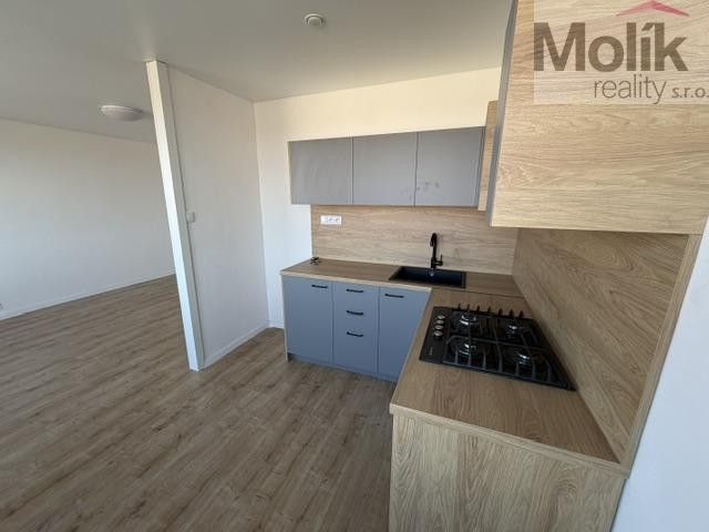 Pronájem bytu 3+1 62 m² - foto 4