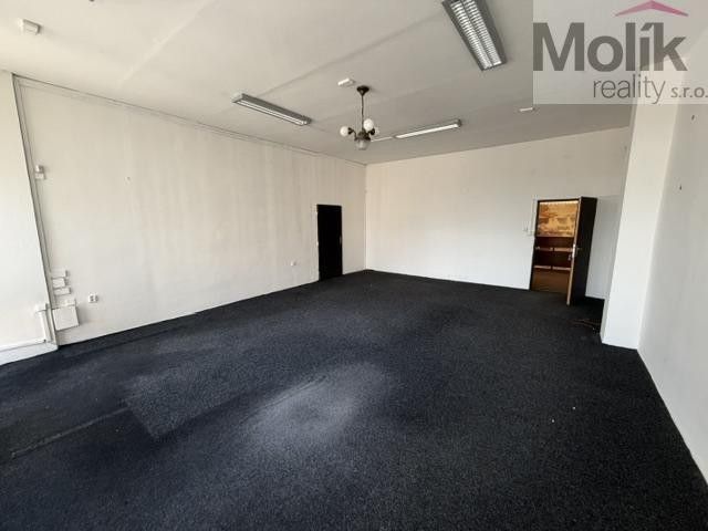 Pronájem komerčního prostoru 48 m² - foto 5