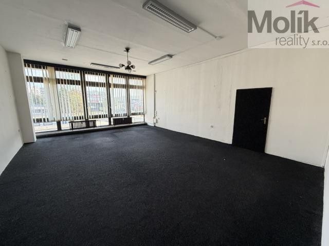 Pronájem komerčního prostoru 48 m² - foto 6