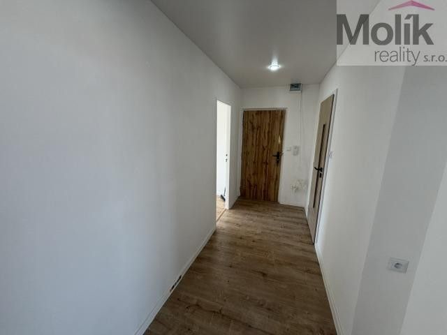 Pronájem bytu 3+1 62 m² - foto 10