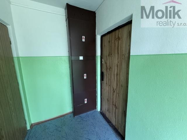 Pronájem bytu 3+1 62 m² - foto 15