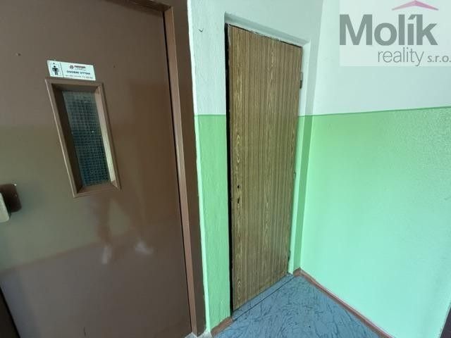 Pronájem bytu 3+1 62 m² - foto 16