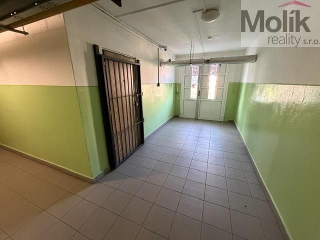 Pronájem bytu 3+1 62 m² - foto 18