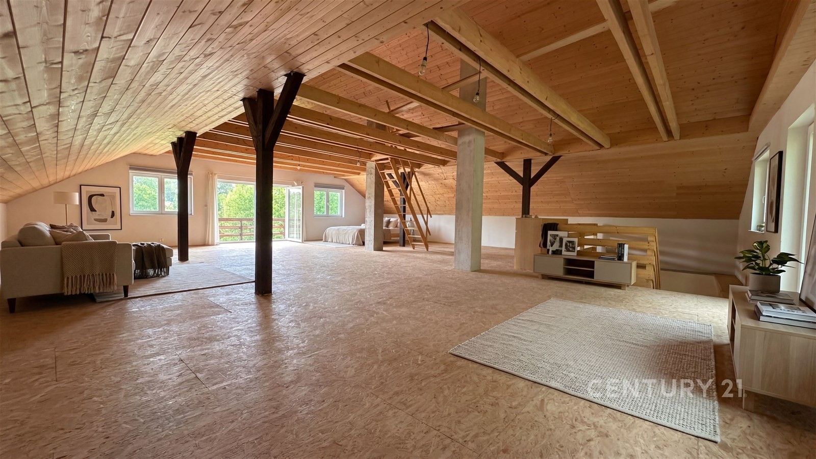 Prodej domu 420 m² - foto 4
