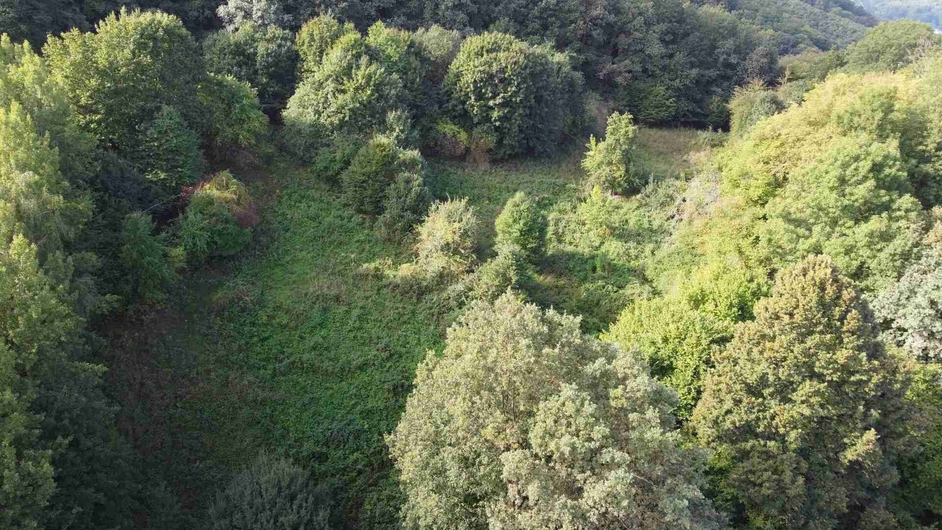 Prodej pozemku 14517 m² - foto 6