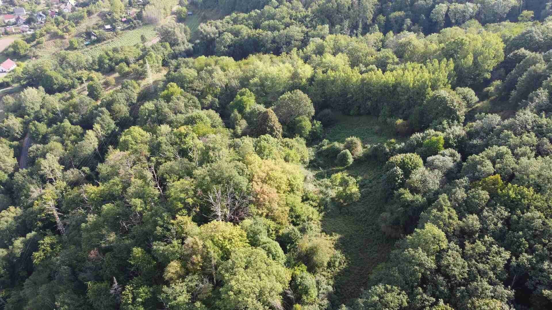Prodej pozemku 14517 m² - foto 7