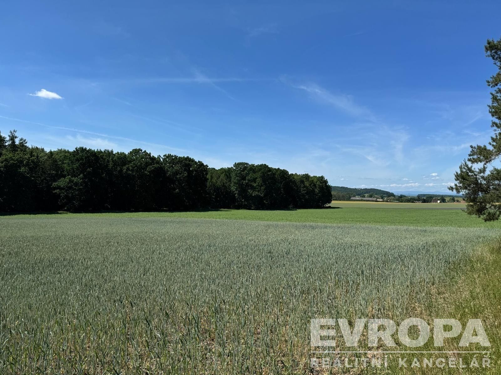Prodej pozemku 7494 m² - foto 1