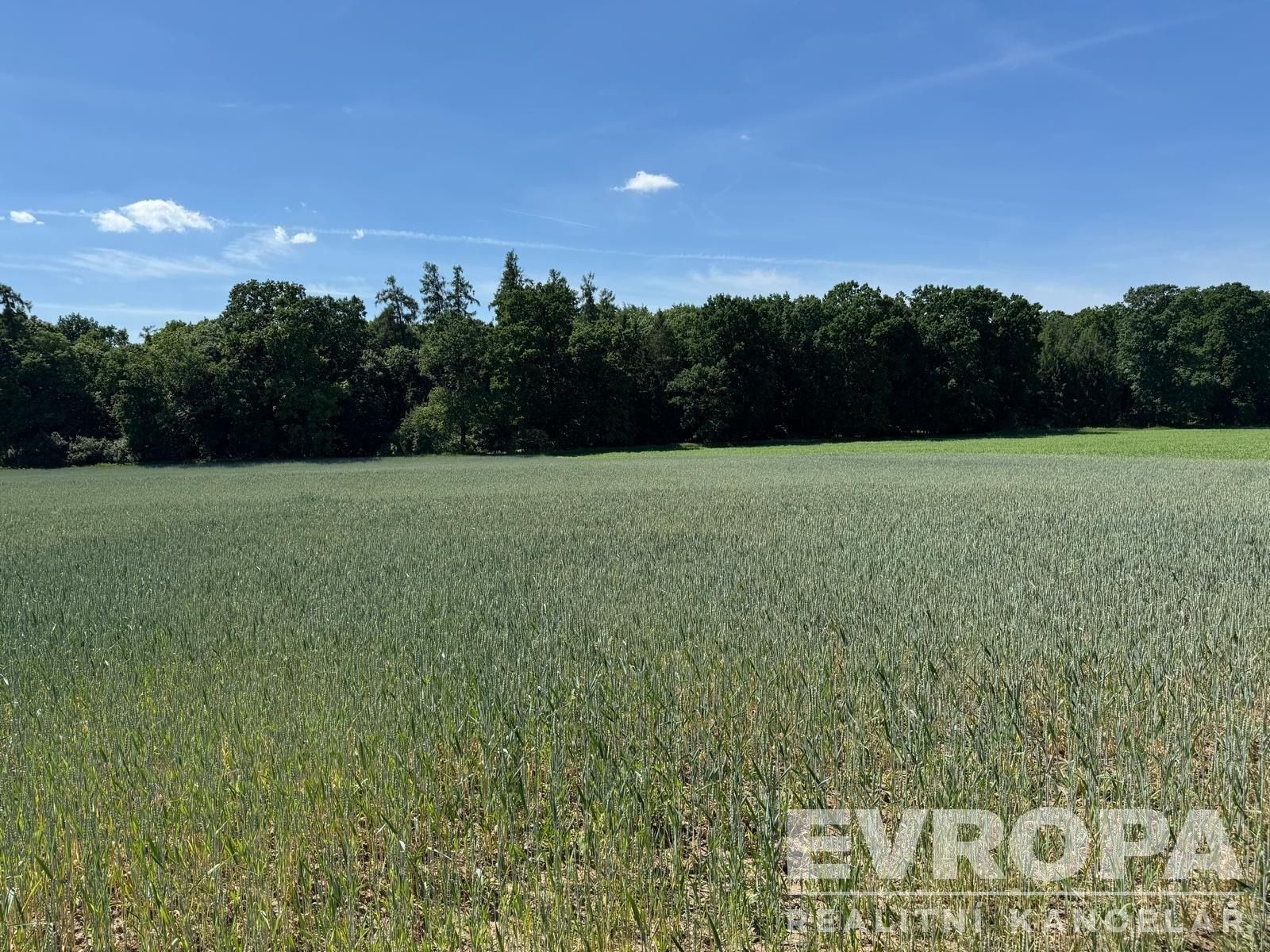 Prodej pozemku 7494 m² - foto 2