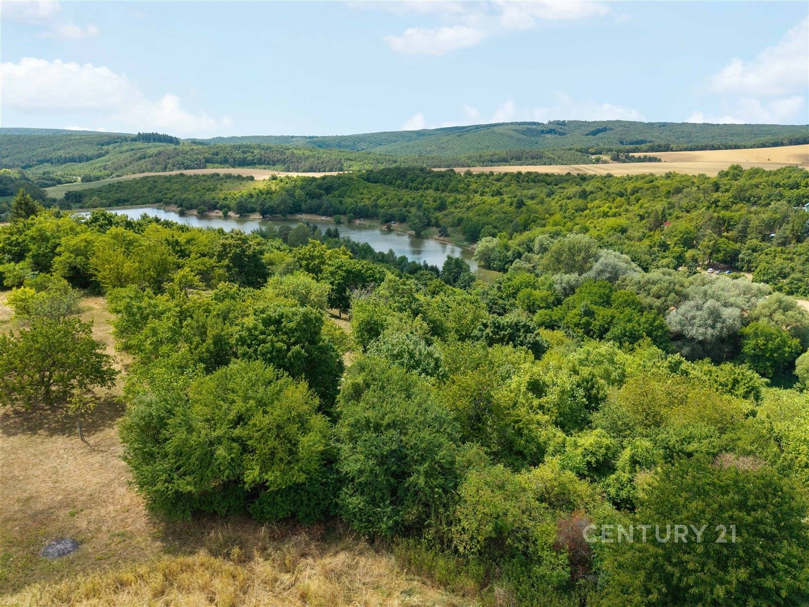 Prodej pozemku 7076 m² - foto 16