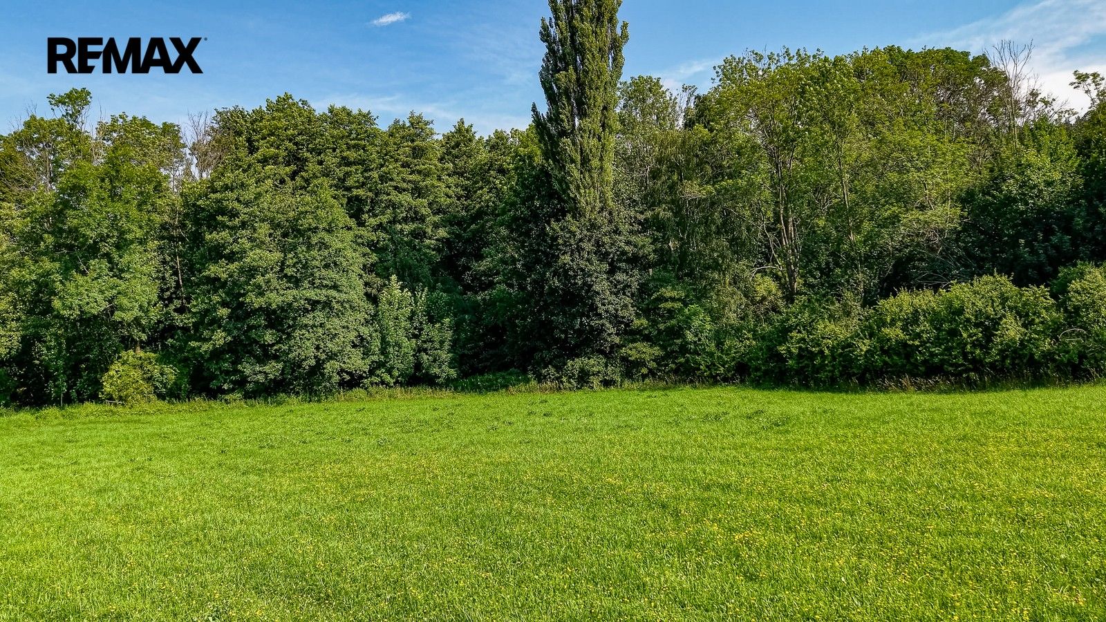 Prodej pozemku 36931 m² - foto 9