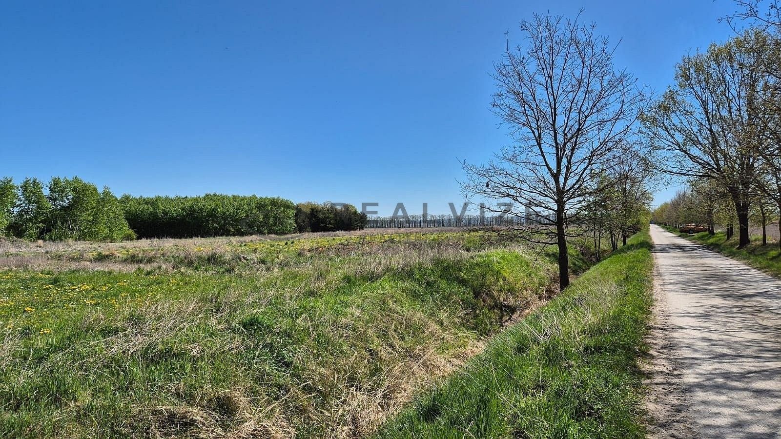 Prodej pozemku 900 m² - foto 3