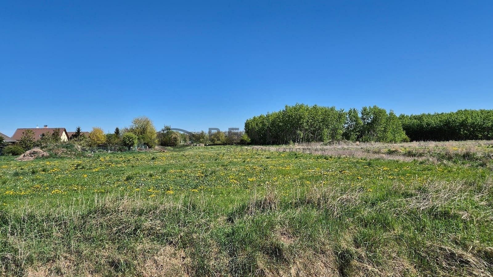 Prodej pozemku 900 m² - foto 6