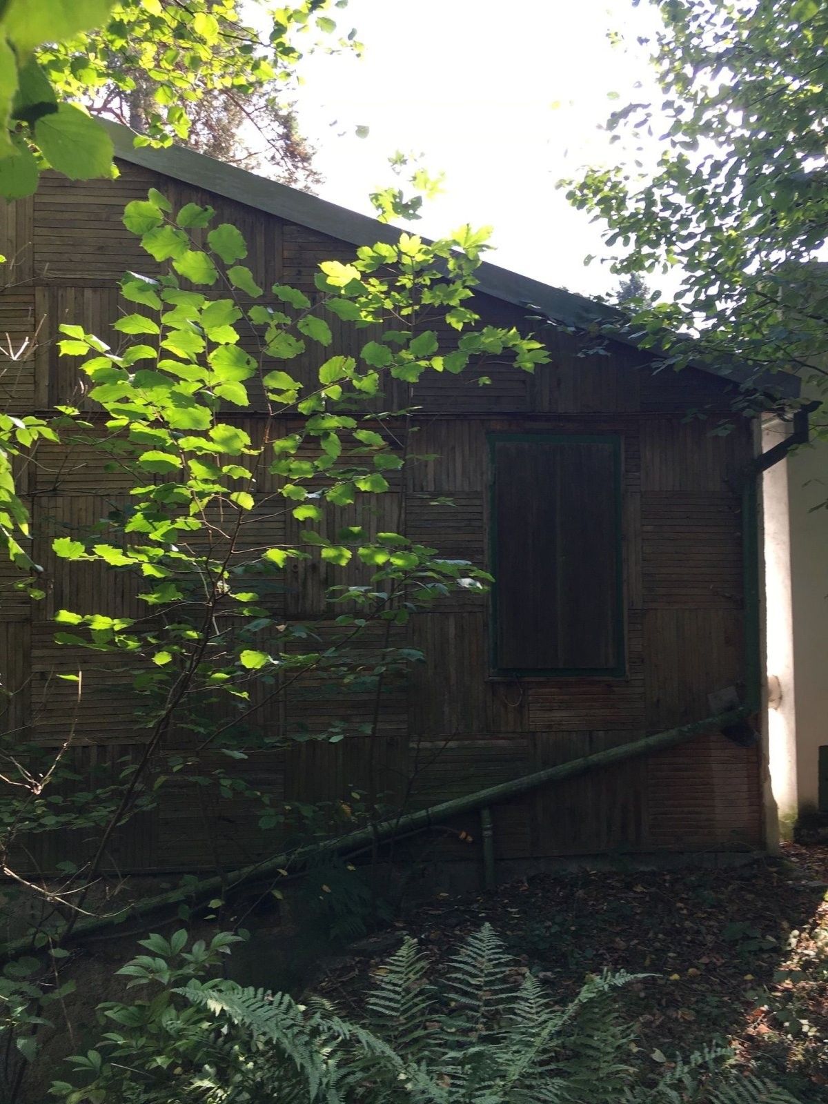 Prodej domu 50 m² - foto 16