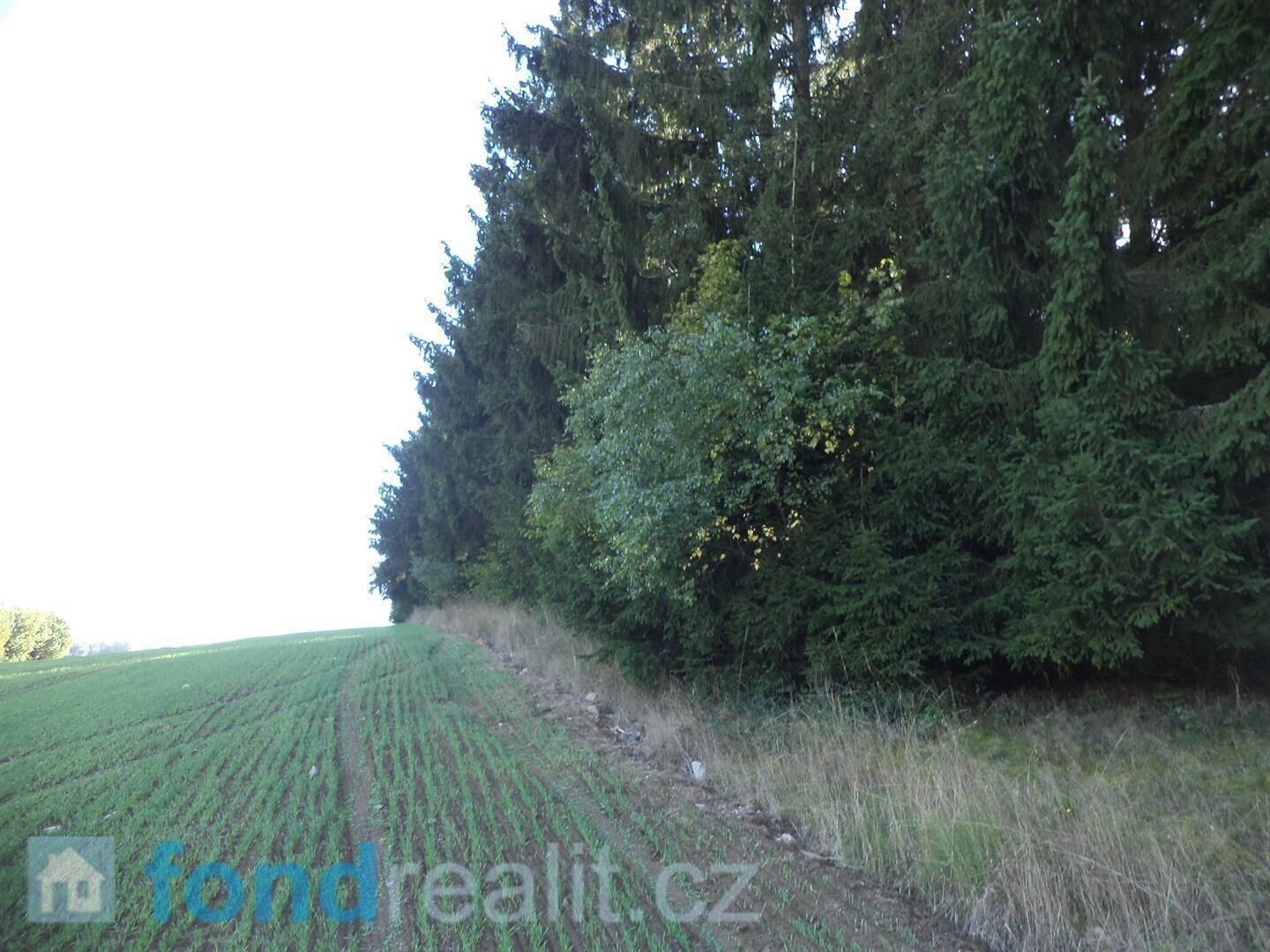 Prodej pozemku 2385 m² - foto 5