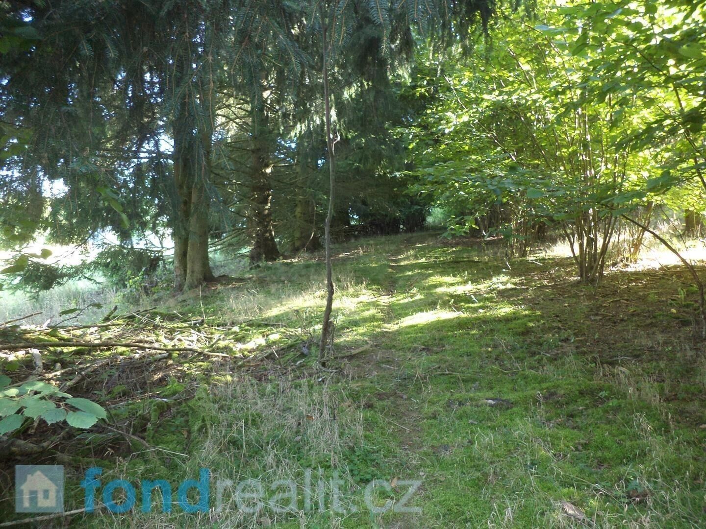 Prodej pozemku 2385 m² - foto 4
