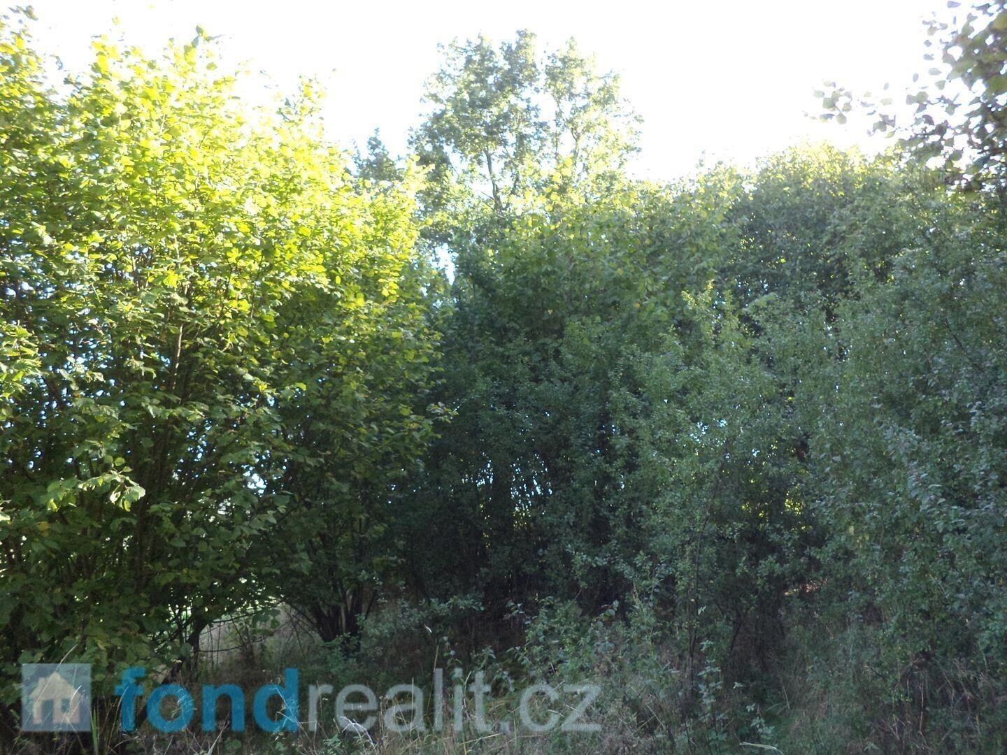 Prodej pozemku 2385 m² - foto 3