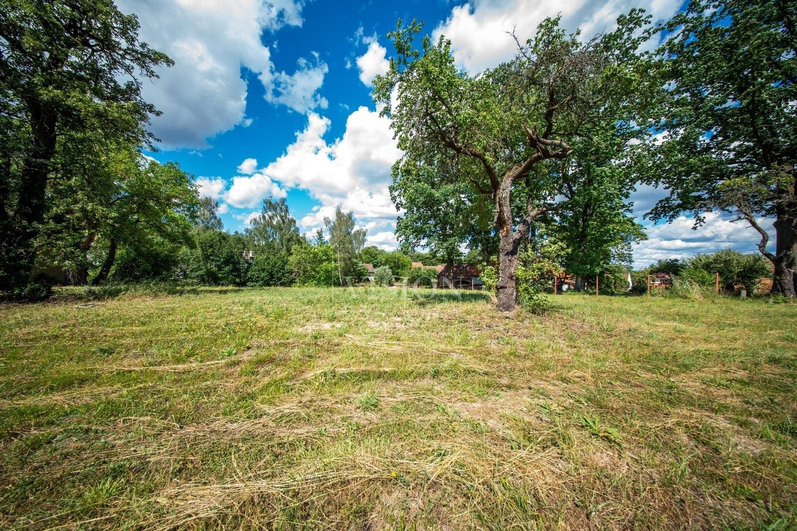 Prodej pozemku 3243 m² - foto 4