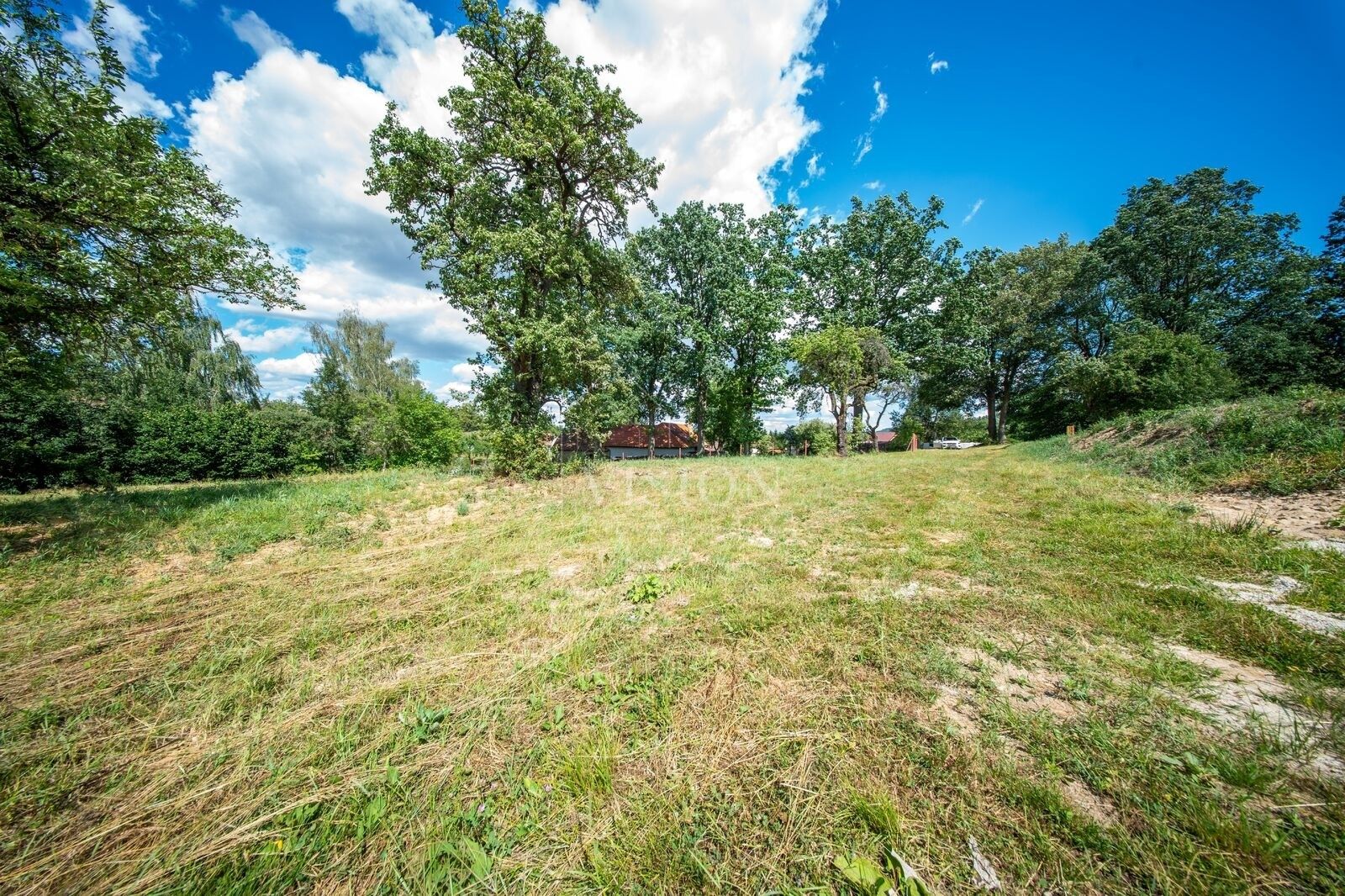Prodej pozemku 3243 m² - foto 6