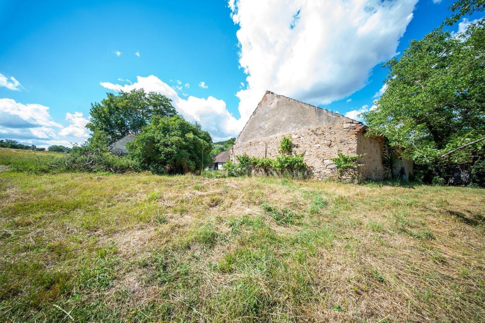 Prodej pozemku 3243 m² - foto 10